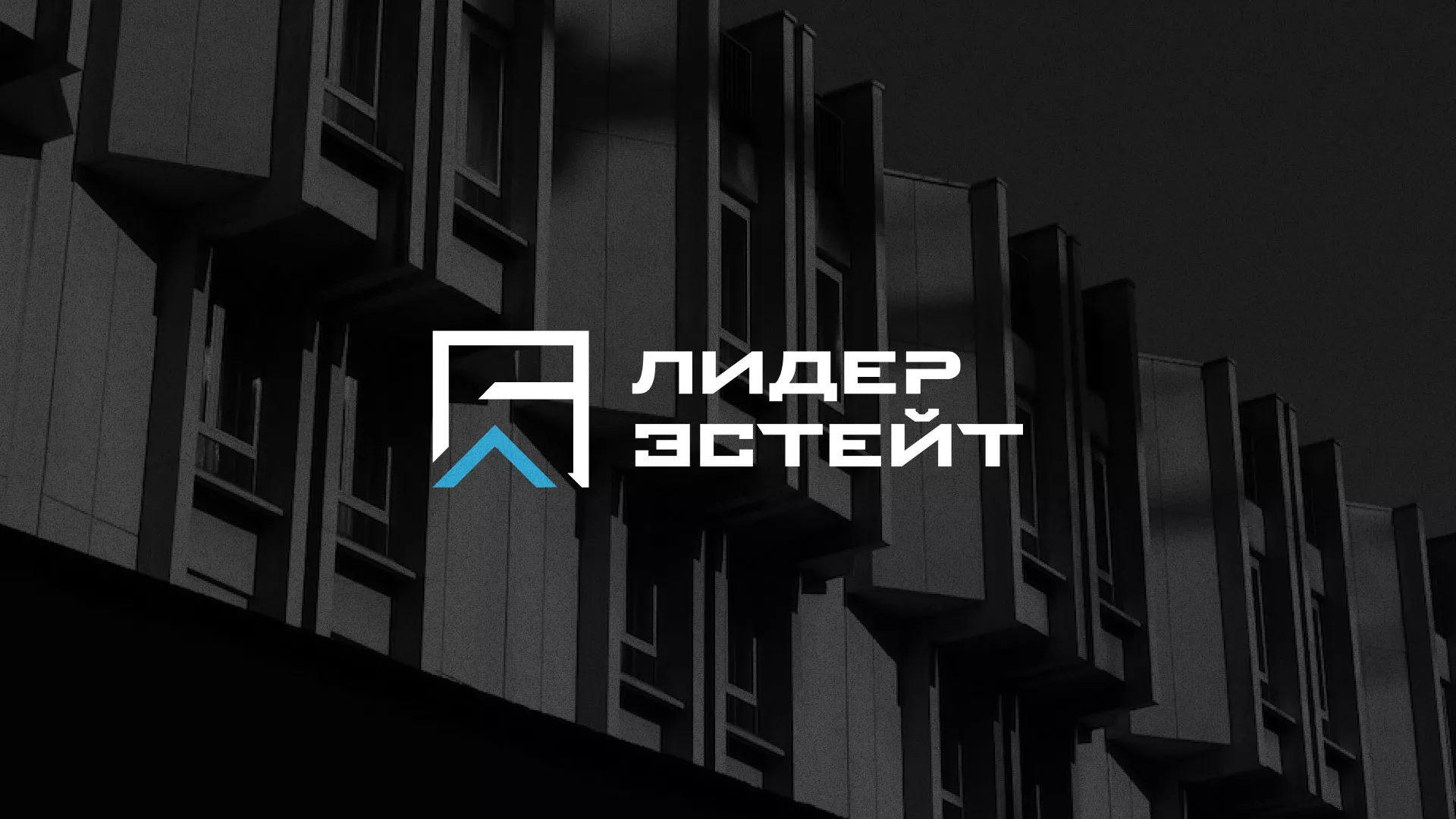 Разработка логотипа агентства недвижимости «Лидер Эстейт» в Новотроицке